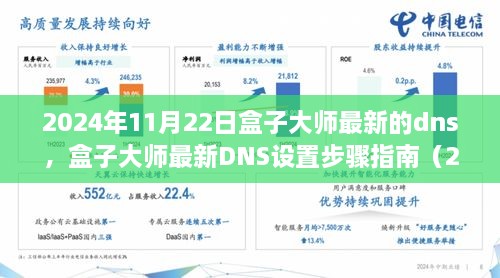 2024年11月22日盒子大師最新的dns，盒子大師最新DNS設(shè)置步驟指南（2024年11月版）