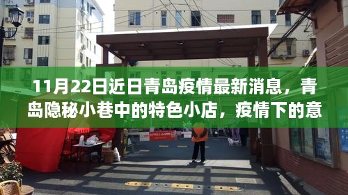 青島隱秘小巷特色小店，疫情下的意外驚喜與最新消息（11月22日更新）