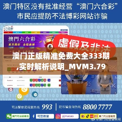 澳門正版精準免費大全333期,實時解析說明_MVM3.79