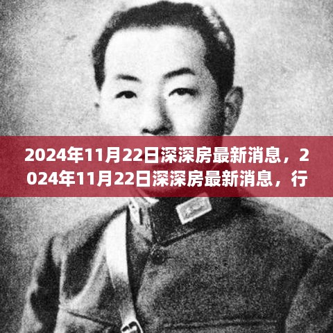 2024年11月22日深深房最新消息，行業(yè)深度解讀與個(gè)人見(jiàn)解