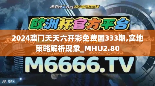 2024澳門天天六開彩免費圖333期,實地策略解析現象_MHU2.80