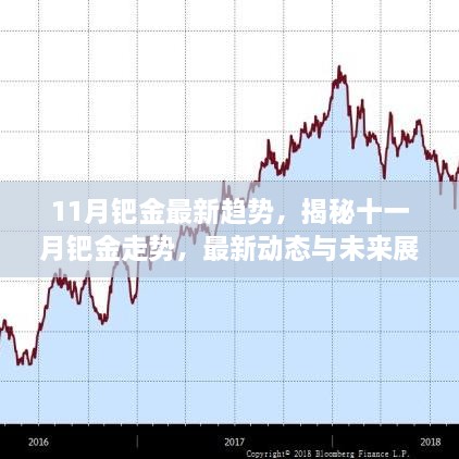 揭秘鈀金走勢，最新動態(tài)與未來展望（十一月版）