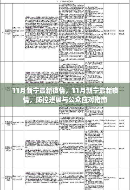 11月新寧最新疫情動態(tài)及防控進展與公眾應對指南