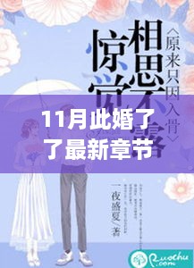 11月此婚了了最新章節(jié)，婚緣十一月，溫馨日常與愛的紐帶