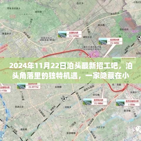 2024年11月22日泊頭最新招工吧，泊頭角落里的獨(dú)特機(jī)遇，一家隱藏在小巷中的特色小店招工記