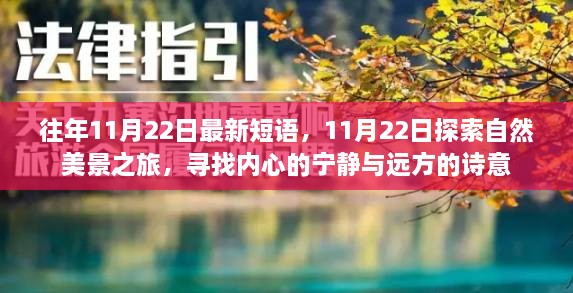 11月22日，自然美景之旅，探尋內心的寧靜與詩意遠方