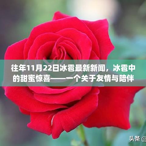 冰雹中的甜蜜驚喜，友情與陪伴的溫馨故事——最新冰雹新聞回顧往年事件