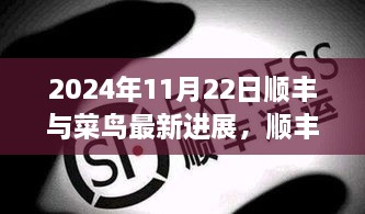 順豐與菜鳥攜手進展揭秘，共筑未來與小巷特色小店的最新動態(tài)