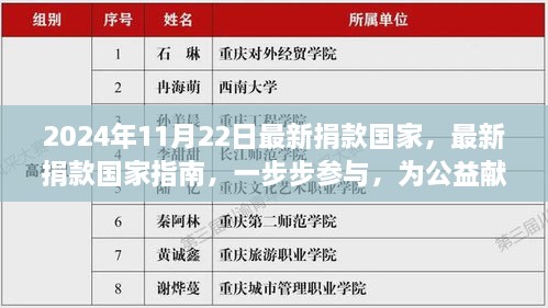 2024年11月最新版捐款指南，如何一步步參與公益貢獻(xiàn)力量