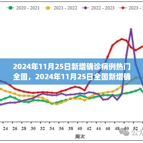 2024年11月25日全國疫情動態(tài)，最新確診病例指南與理解疫情走勢的方法