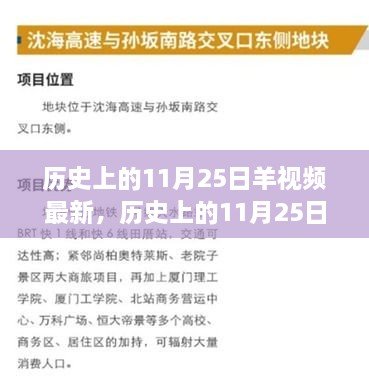 歷史上的11月25日，羊視頻現(xiàn)象背后的故事與影響揭秘