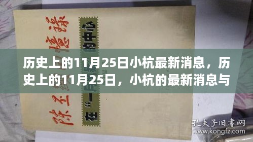 歷史上的11月25日，小杭的最新消息與深遠(yuǎn)影響揭秘