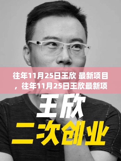 王欣最新項目深度評測與介紹，歷年11月25日回顧與前瞻