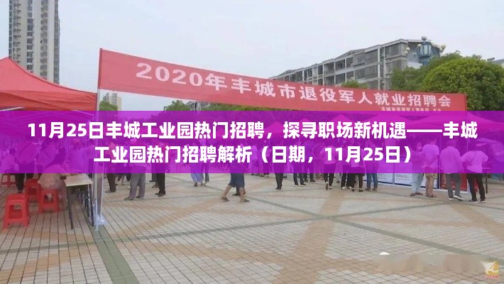 探尋職場新機遇，豐城工業(yè)園熱門招聘解析（日期，11月25日）