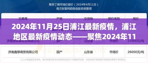 2024年11月25日浦江地區(qū)疫情動態(tài)，防控進展與科普解讀