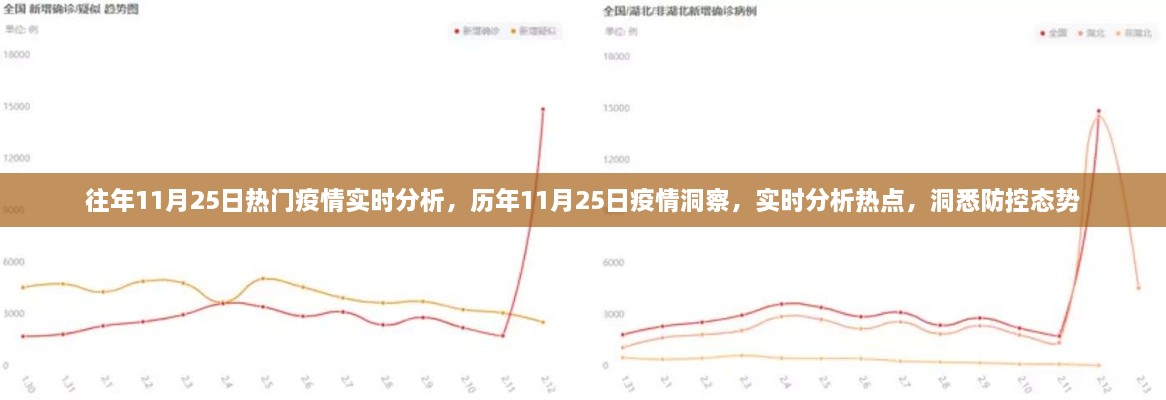 歷年與即時洞察，11月25日疫情深度分析與防控態(tài)勢實時觀察