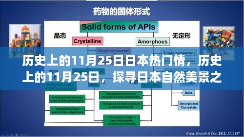 探尋日本自然美景之旅，歷史上的11月25日與日本情感之旅的寧靜與平和