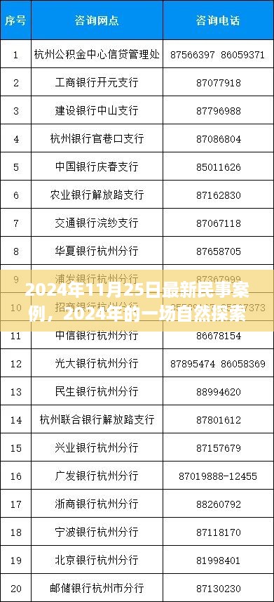 民事案例背后的心靈之旅，自然探索之旅的啟示（2024年最新案例）