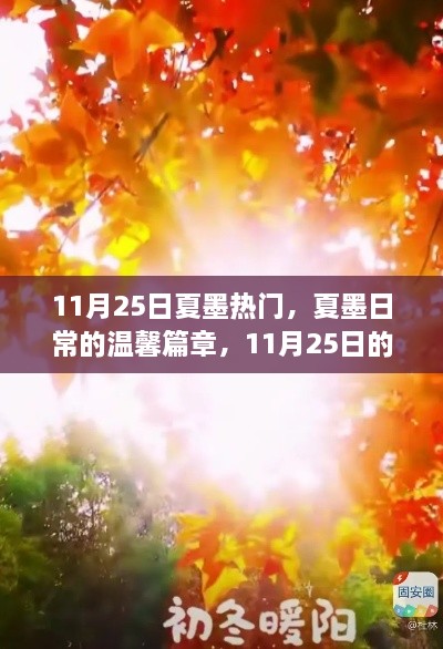 2024年11月 第143頁