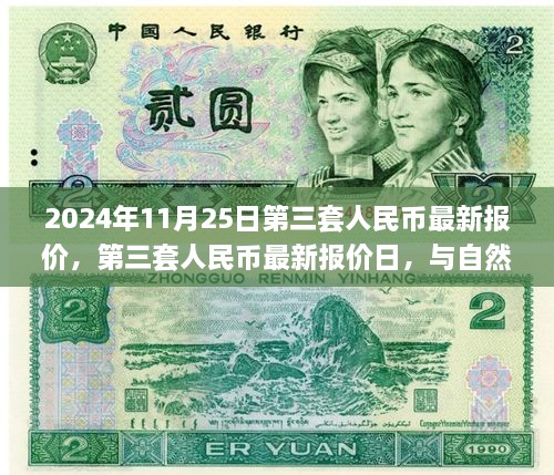 第三套人民幣最新報價與邂逅自然美景之旅，2024年11月25日行情概覽