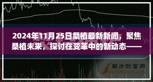 變革中的新動態(tài)，聚焦桑植未來——2024年11月25日桑植最新新聞視角