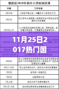 2017年熱門國稅政策詳解與操作指南，適合初學(xué)者與進(jìn)階用戶的學(xué)習(xí)指南（11月25日更新）