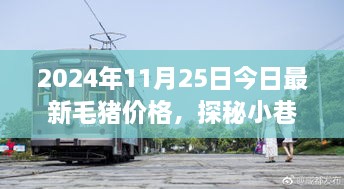 毛豬價(jià)格揭秘與小巷特色小店的幕后故事，2024年最新資訊，今日探秘之旅