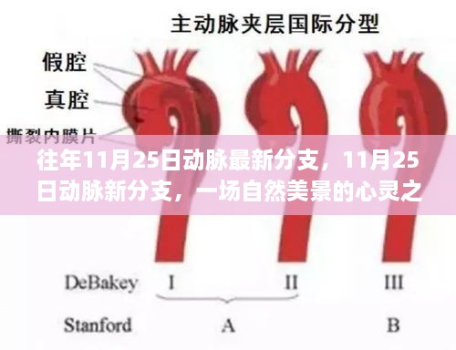 往年11月25日動脈最新分支，11月25日動脈新分支，一場自然美景的心靈之旅