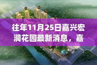 嘉興宏潤花園最新消息解讀，深度剖析三大要點回顧往年11月25日動態(tài)