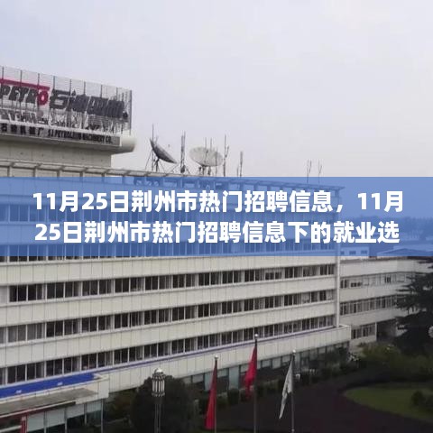 11月25日荊州市熱門招聘信息，11月25日荊州市熱門招聘信息下的就業(yè)選擇，機(jī)遇與挑戰(zhàn)并存