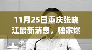 重慶張曉江最新動(dòng)態(tài)揭秘，11月25日獨(dú)家爆料，瞬間驚艷！