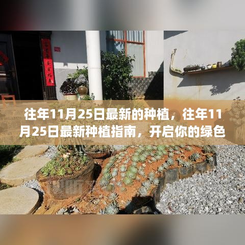 往年11月25日最新的種植，往年11月25日最新種植指南，開啟你的綠色生活之旅