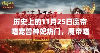 魔帝嗜寵獸神妃，深度測評與介紹——?dú)v史上的11月25日熱門話題