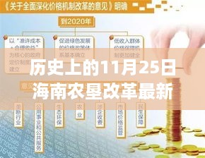 海南農(nóng)墾改革新篇章，歷史上的11月25日，變革中的自信與成就感