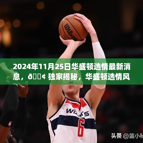 2024年11月25日華盛頓選情最新消息，?? 獨家揭秘，華盛頓選情風云變幻，最新消息一網(wǎng)打盡！?? 2024年11月25日選情深度解析