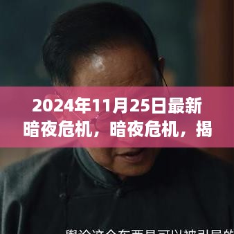 揭秘，2024年11月25日暗夜危機的背后故事與影響揭秘