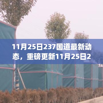 11月25日237國(guó)道最新動(dòng)態(tài)全解析，路況、施工及出行指南