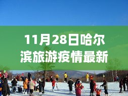 疫情下安全游哈爾濱，最新旅游指南與實用建議（初學(xué)者與進(jìn)階用戶適用）