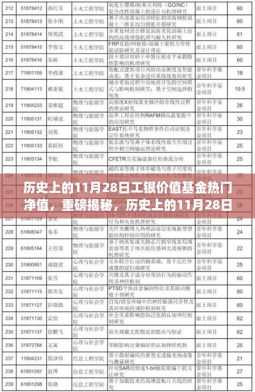 揭秘，歷史上的工銀價值基金凈值飆升背后的故事——聚焦11月28日熱門凈值日解密