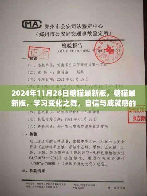 2024年11月28日糖貓最新版，糖貓最新版，學(xué)習(xí)變化之舞，自信與成就感的魔法之旅