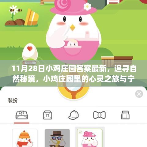 11月28日小雞莊園答案最新，追尋自然秘境，小雞莊園里的心靈之旅與寧靜的擁抱