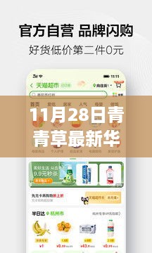 涉黃警告，11月28日青青草最新華人免費(fèi)資源獲取指南及全攻略