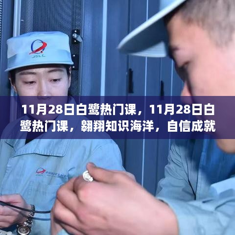 11月28日白鷺熱門課程，翱翔知識海洋，塑造自信未來夢想