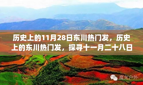 歷史上的11月28日東川熱門發(fā)，歷史上的東川熱門發(fā)，探尋十一月二十八日的輝煌印記