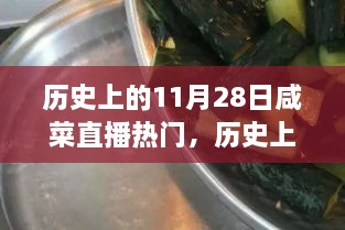 歷史上的11月28日咸菜直播熱門(mén)，歷史上的11月28日，見(jiàn)證咸菜直播熱門(mén)高科技產(chǎn)品的誕生與革新