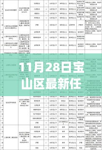 11月28日寶山區(qū)干部任免更新，流程詳解與操作指南