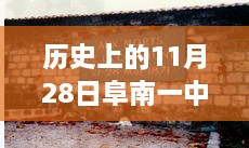 阜南一中歷史時(shí)刻下的勵(lì)志篇章，最新事件回顧與校園之光