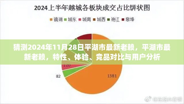 平湖市最新失信人員解析，特性、體驗、競品對比與用戶洞察（預測至2024年11月）