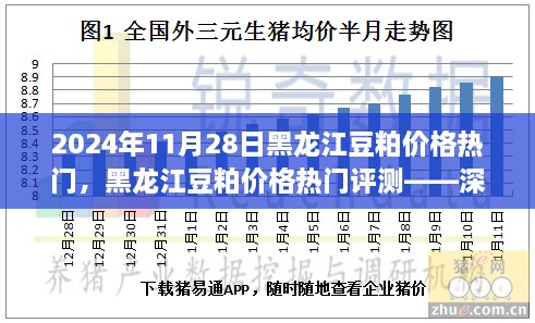 黑龍江豆粕價格熱門解析，深度剖析豆粕特性、用戶體驗與目標用戶群體分析報告