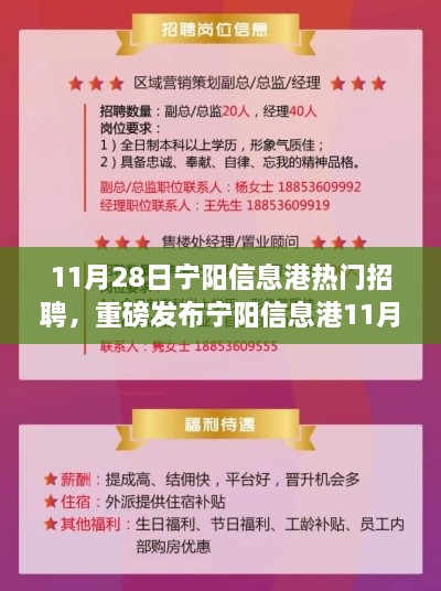 寧陽信息港11月28日熱門招聘，科技新品引領智能未來，生活新潮流觸手可及